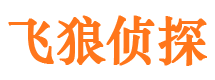 馆陶飞狼私家侦探公司